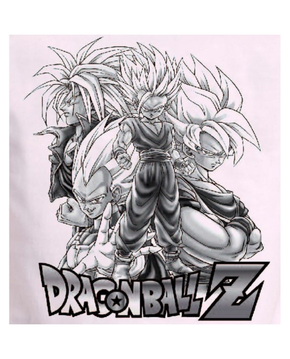T-Shirt Dragon Ball Z "Team"